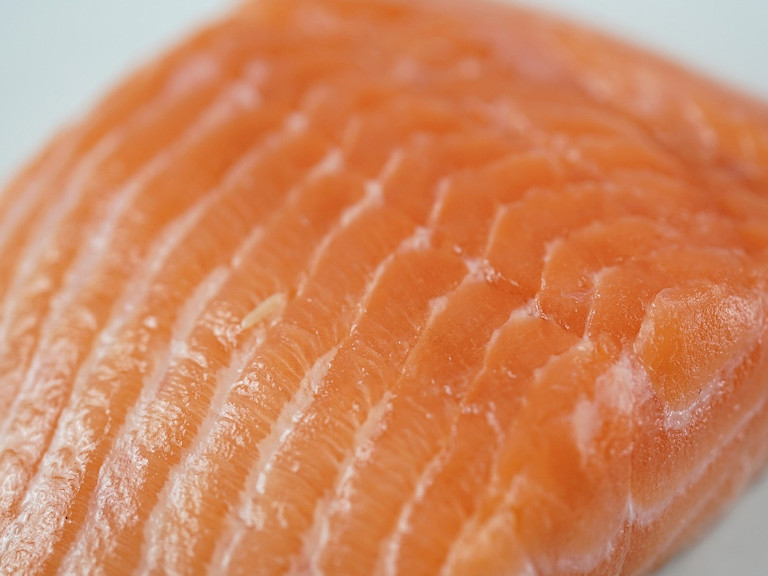 Buckelwildlachs, Foto Pixabay